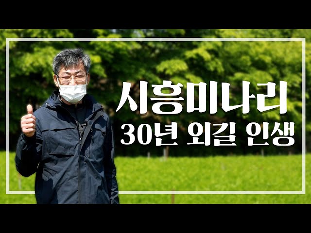 Korean farmer talking about 'Minari', the plant made Yuh-jung Youn win the Oscar award