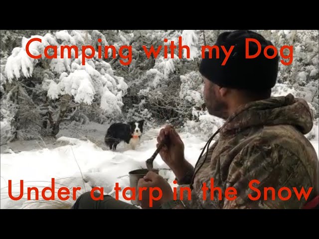 Winter Camping - Tarp, sleeping bag and dog