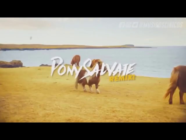 PONY SALVAJE - EXTENDED (REMIX)