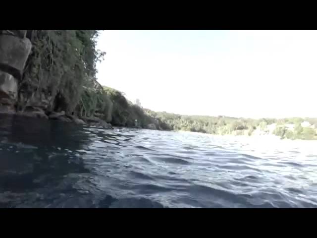 Terrifying Experience: Man Faces Off With Great White Shark While Wearing A GoPro!