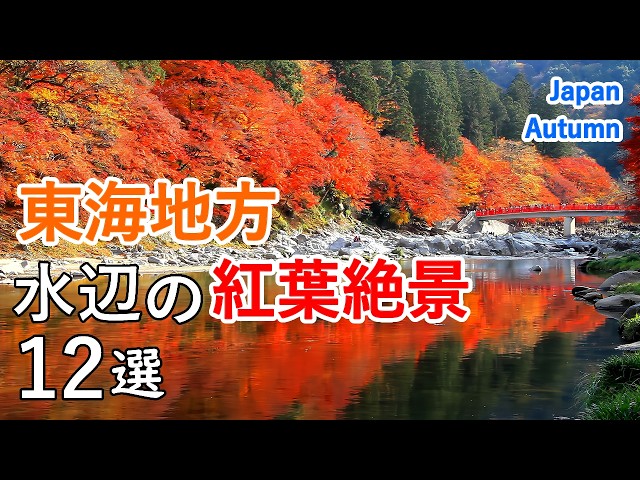 12 Best Views of Waterside Autumn Foliage in Tokai region / Beautiful Scenery of Japan [ 4K ]