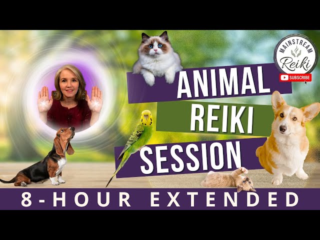 8-Hour Animal Reiki Session | Calm and Healing for Your Pets 🐾