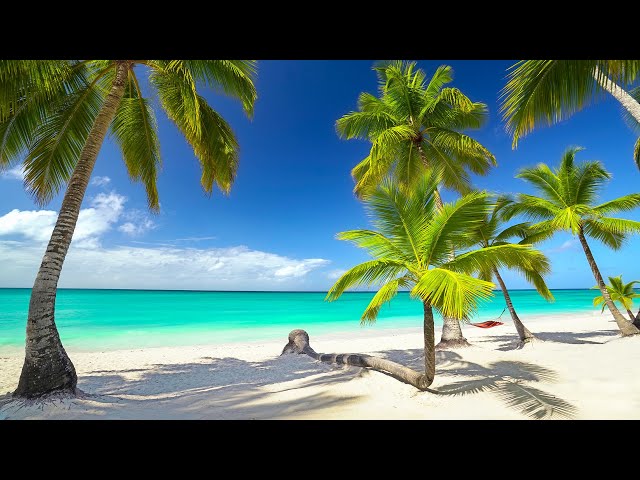 Beach Bossa Nova Music with Turquoise Water & Ocean Waves for Good Mood, Relaxation