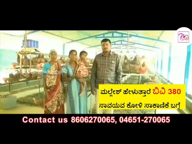 BV380 in Karnataka | business ideas in Kannada | Hi tech organic farming | Nest organic  | M eggs