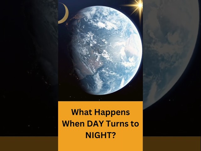 What Happens When DAY Turns to NIGHT?