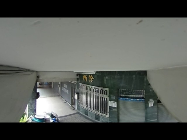 春燕回來了，幼鳥長大了360 video taiwan,360 video,360 video camera