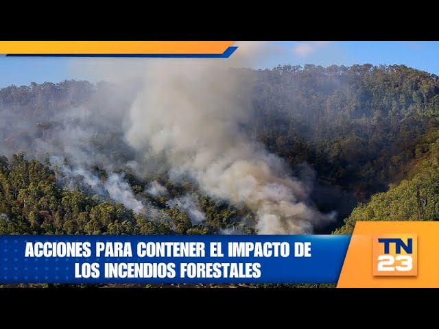 Acciones para contener el impacto de los incendios forestales