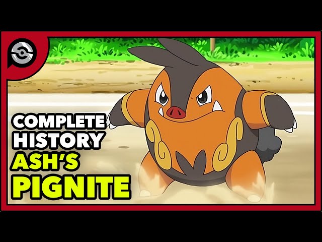 Ash's Pignite: From Tepig to BIG PIG | Complete History