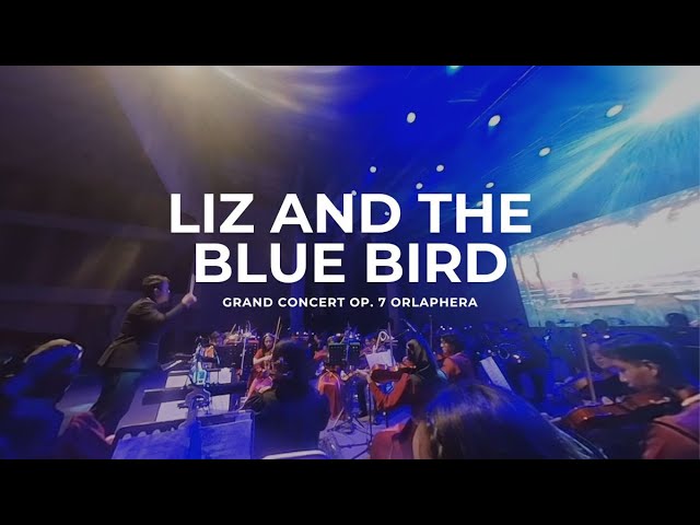 Liz and the Blue Bird - Grand Concert Op. 7 "Orlaphera" | 360º Cam