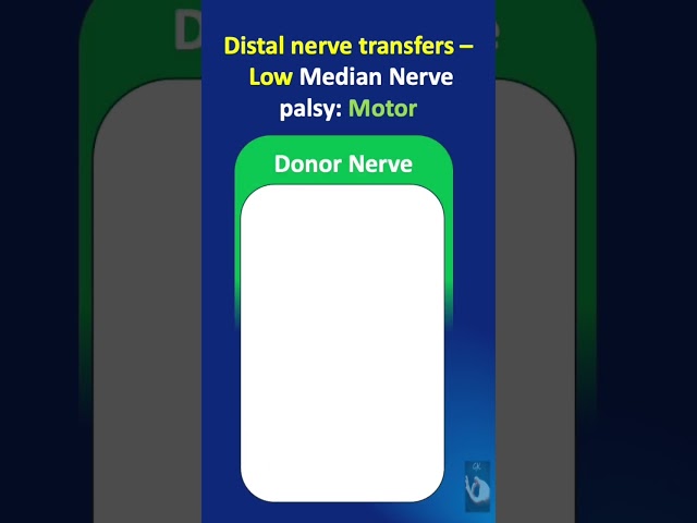 Shorts # 125: Distal nerve transfers for High Median nerve palsy - the different options available!