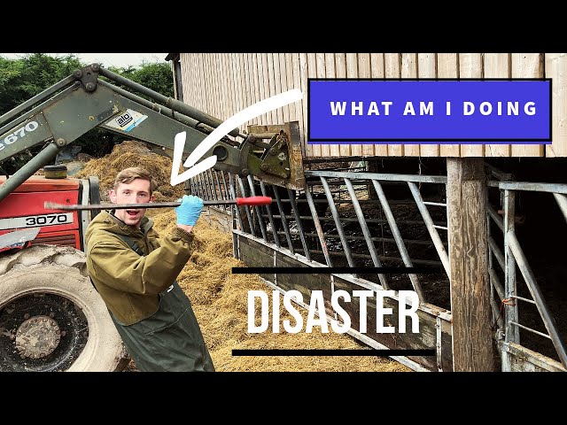 REBUILDING THE FEED BARRIER: AN EPIC DIY ADVENTURE ON THE FARM