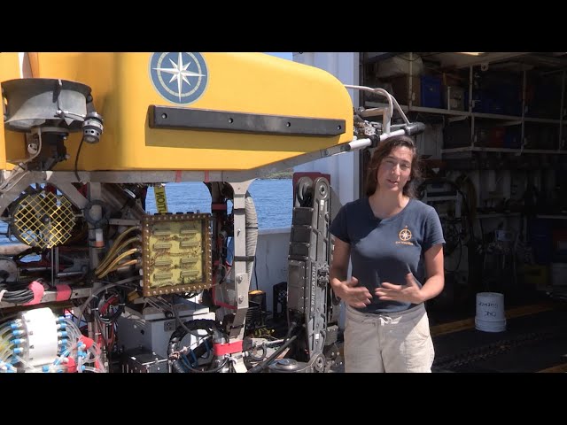 ROV Pilot Career Profile | Nautilus Live