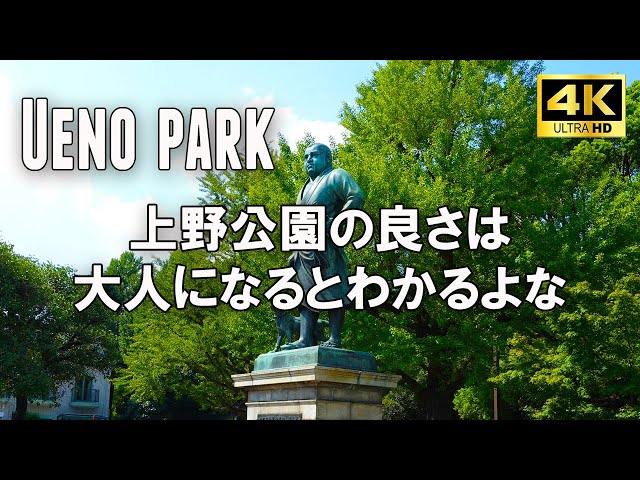 Japan Tokyo Walking | Ueno Park in midsummer drenched in sweat 4k!