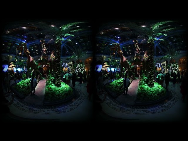 Bellagio Gardens Clip 5 For Oculus and VR 3D 180° Test Video High ISO 8K Oculus Virtual Reality