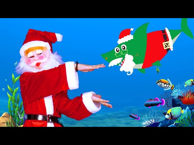 Christmas Baby Shark | Fun Christmas songs for kids & Nursery Rhymes - Kuku & Cucudu