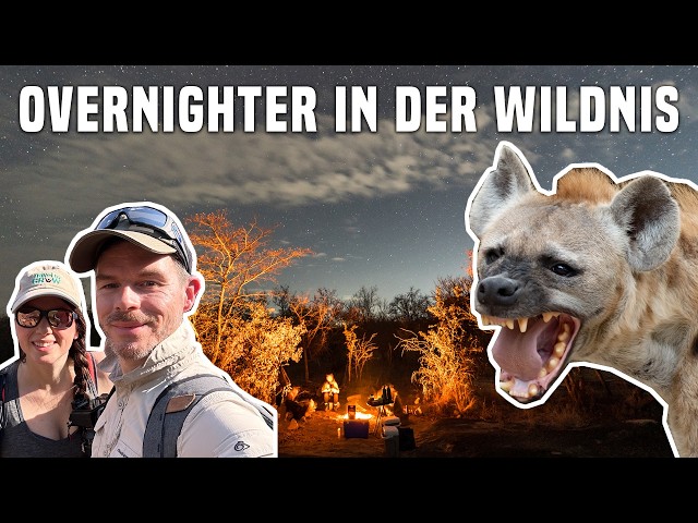 Overnighter bei wilden Tieren im Busch in Südafrika - Tierbesuch hautnah 😱