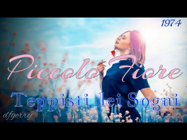 "PICCOLO FIORE" (Dove vai) i Teppisti dei Sogni - 1974, Soft Slow-Rock keyboard Live Cover _dfgerry_