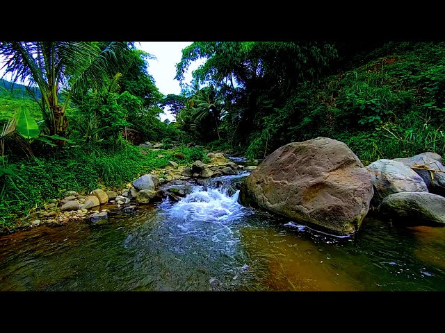 Nature Sounds Waterfall for Relaxation Meditation Relaxing Calm River Water flow for Sleep