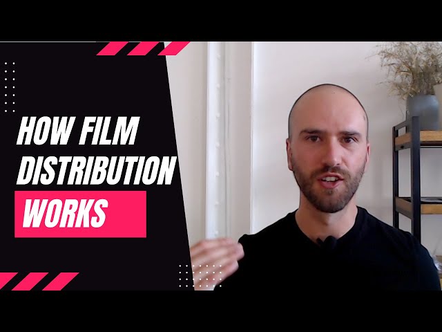 Film Distribution 101