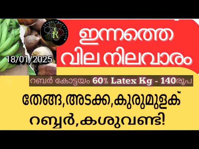 ഇന്ന് റബ്ബർ വിലയിൽ മാറ്റമില്ല | Nutmeg per kg is Rs. 10 more | Kerala | Malayalam