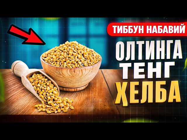 Олтинга тенг ҳелба (хильба) | Доктор Гулбаҳор