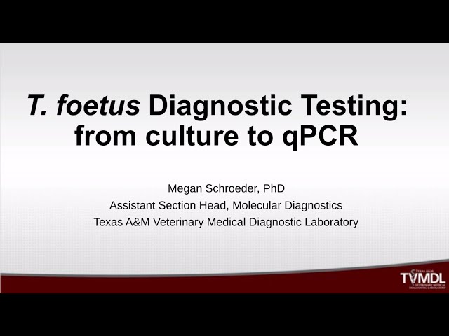 T. Foetus Testing From Culture to PCR - Live Q&A