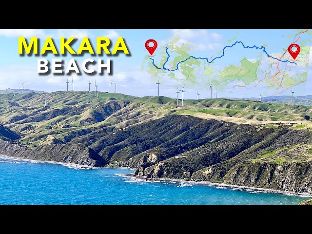 Drive to Makara Beach and the Wind Farm | Wellington New Zealand 2025