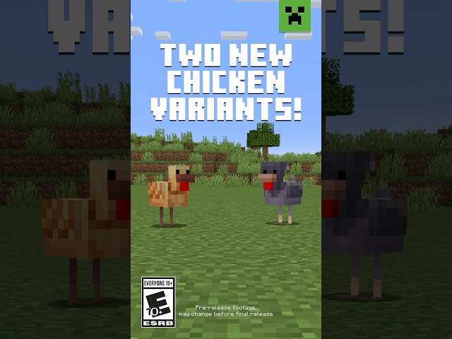 NEW CHICKEN VARIANTS IN MINECRAFT!