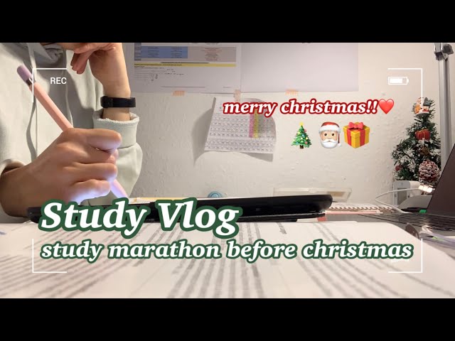 [Study Vlog #68] German christmasmarket, study marathon, mentalbreakdowns🎄 ft. Stationery pal haul