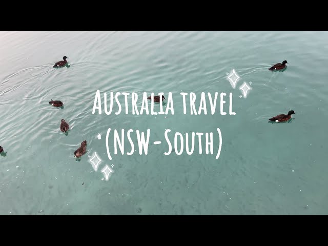 🇦🇺호주살이V | 시드니 남부여행 | 저비스 베이Jervis Bay | 고래투어 Whale Tour | 하이엄스 비치Hyams Beach | 야생캥거루Wild Kangaroo