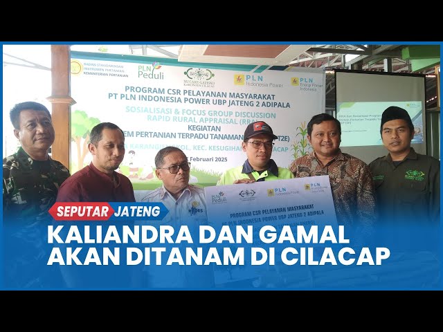 Tanam Kaliandra dan Gamal Untuk Bahan Bakar Co-firing PLTU UBP Adipala