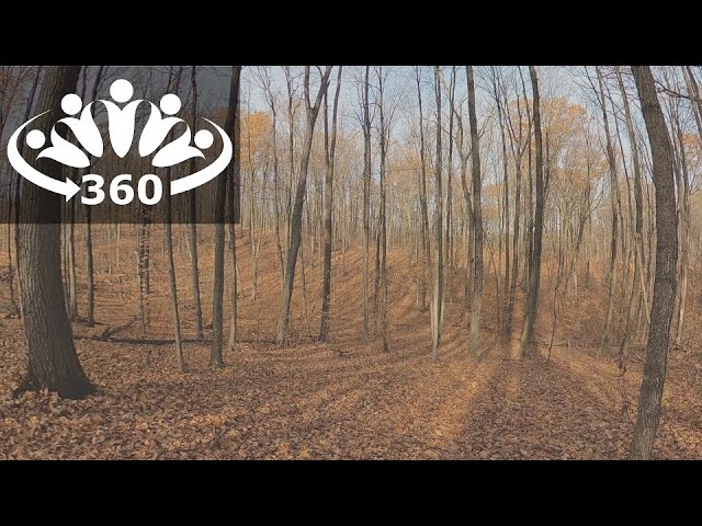 30 Seconds of Autumn in 360°