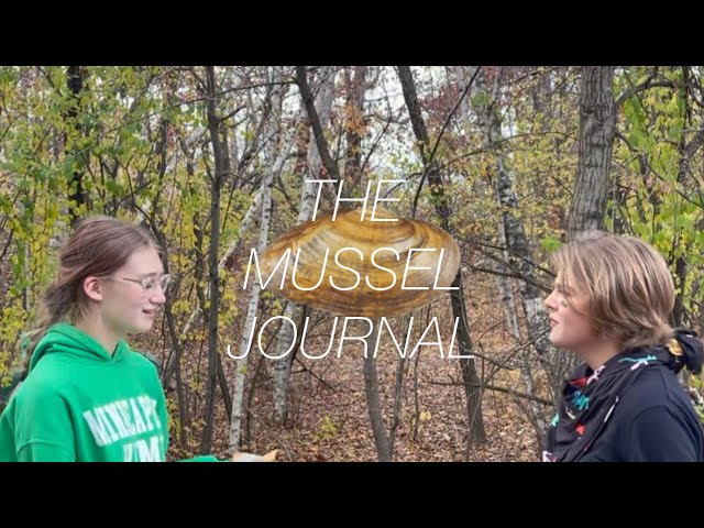 THE MUSSEL JOURNAL | A SHORT FILM BY SES STUDENTS