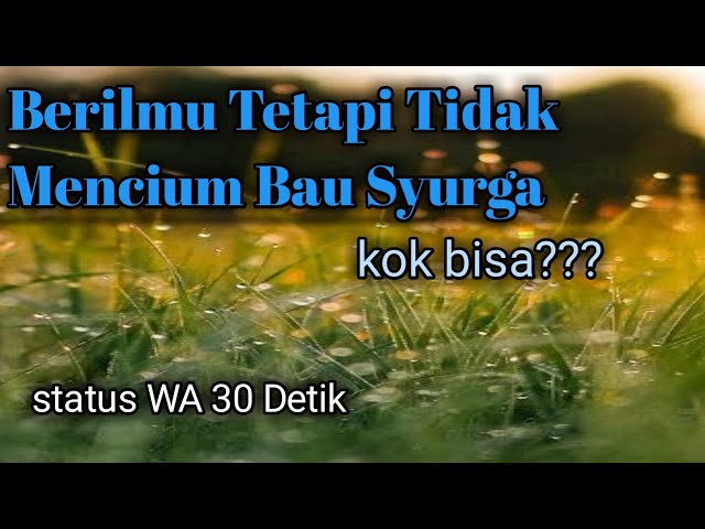 Status WA Berilmu tetapi tidak mencium bau syurga