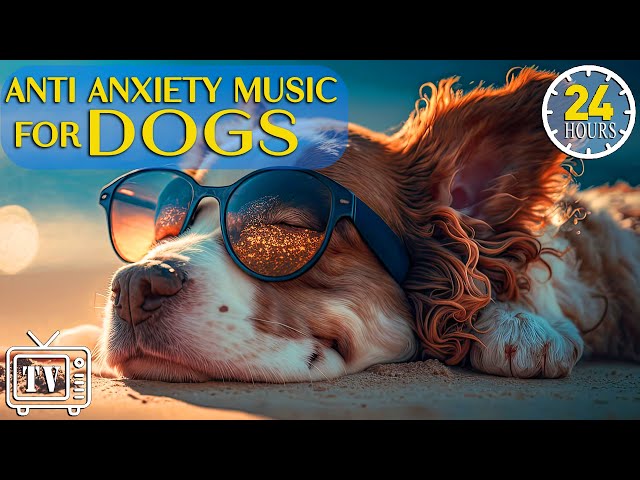 24 Hours of Anti Anxiety Music for Dogs - Cure Separation Anxiety with Dog Music & Sleep Music Dogs