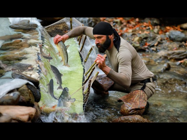 İnanılmaz Balık Avı / Incredible Fishing / 20 kg Fish Every Day / Derede Balık Avı