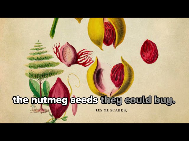 How did spices like nutmeg end up going from medicine to favorite wintertime holiday spice?