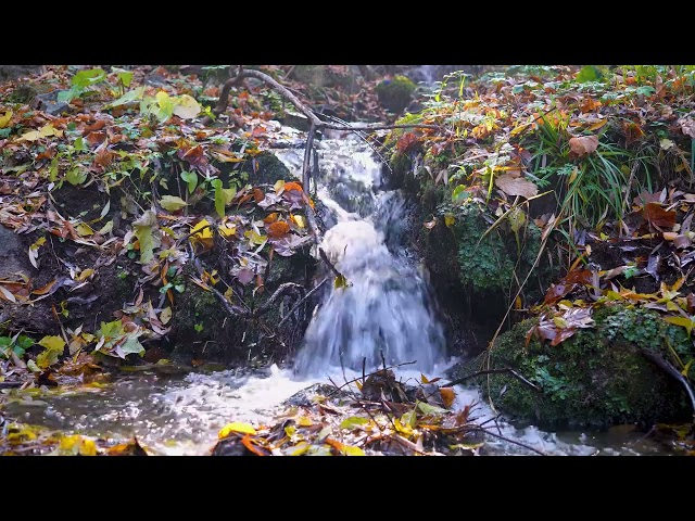 Relaxing Waterfall Sounds in Autumn Forest | 4K Nature Background for Sleep & Focus