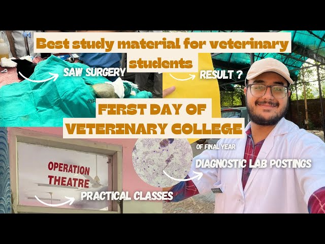 First Day in Veterinary College | Best Study material for veterinary students ❤️✨ #veterinary  #neet