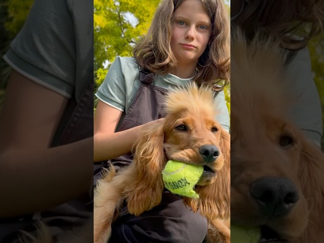 Hair styling with Quinn & Mango 😍🥭 #rescuevet #rescuedog #shorts