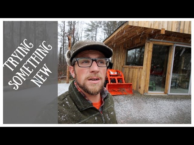 Modern Steader Update | Snow on the Homestead | Comparing Cold Smoked Bacon