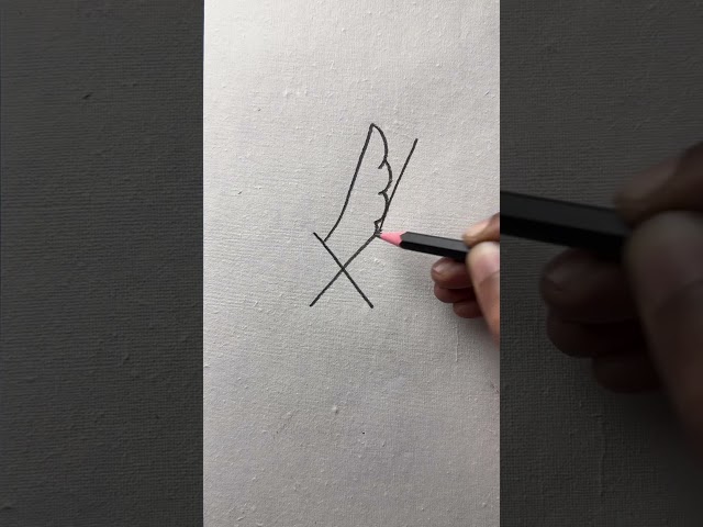 How to draw birds with pencil step by step