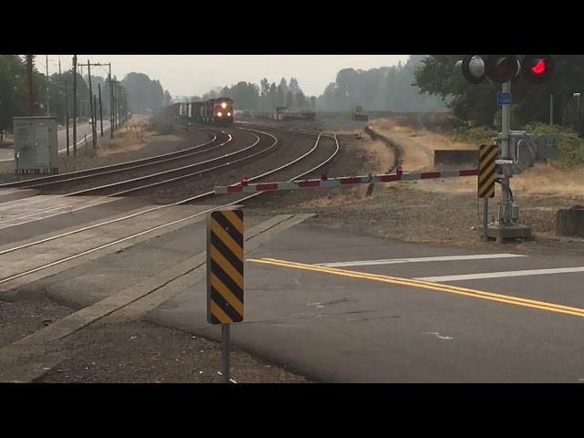 Trains in Kelso