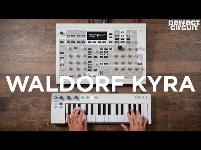 Waldorf Kyra Virtual Analog Synthesizer Sounds