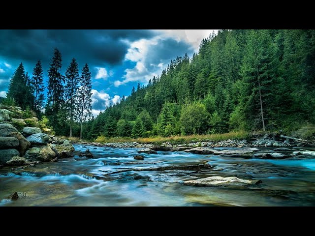 Relaxing Water Stream Sounds for Sleep