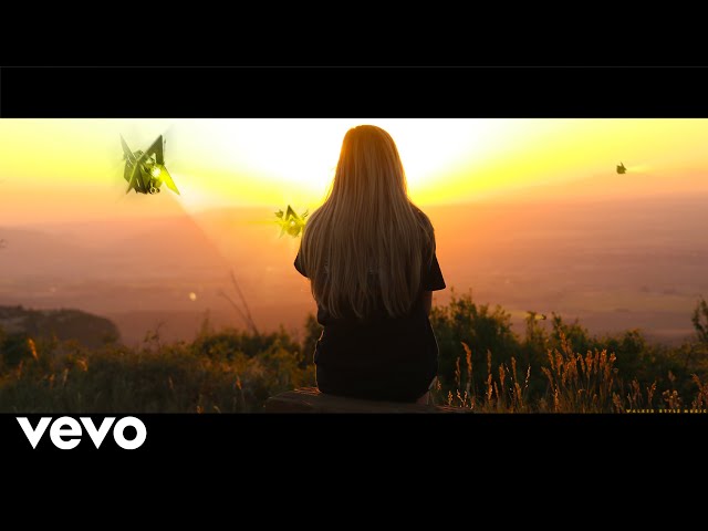 Alan Walker & Zak Abel - Endless Summer | Remix (Official Music Video)