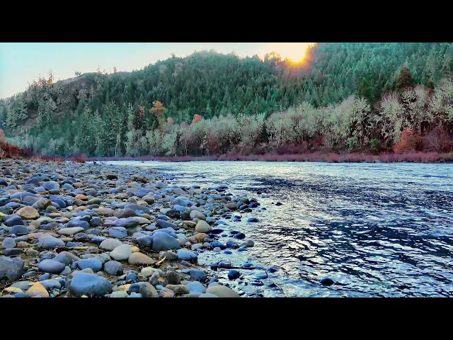 Peaceful River Flowing Sound  | Gentle River, Relaxing Nature Sounds, White Noise for Sleep & Study