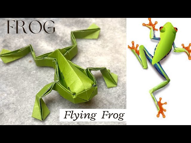 How to Make Origami Flying Frog| Fold a Long Jumping or Tree Frog| Tree Frog Tutorial|MakeOlogy5