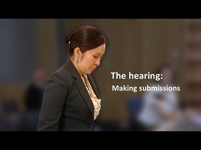 The hearing - Making submissions