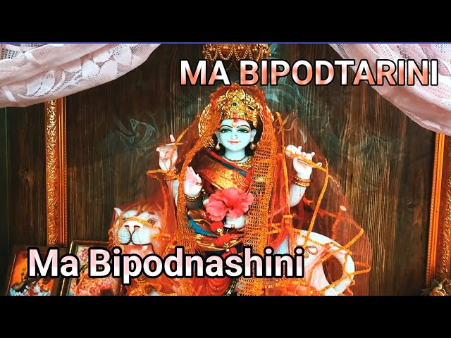 Bipodtarini Puja|বিপত্তারিণী পূজা